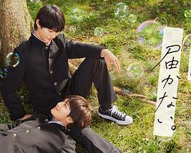 人人人人摸操五月天海报剧照