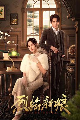 薄纱内衣秀视频海报剧照